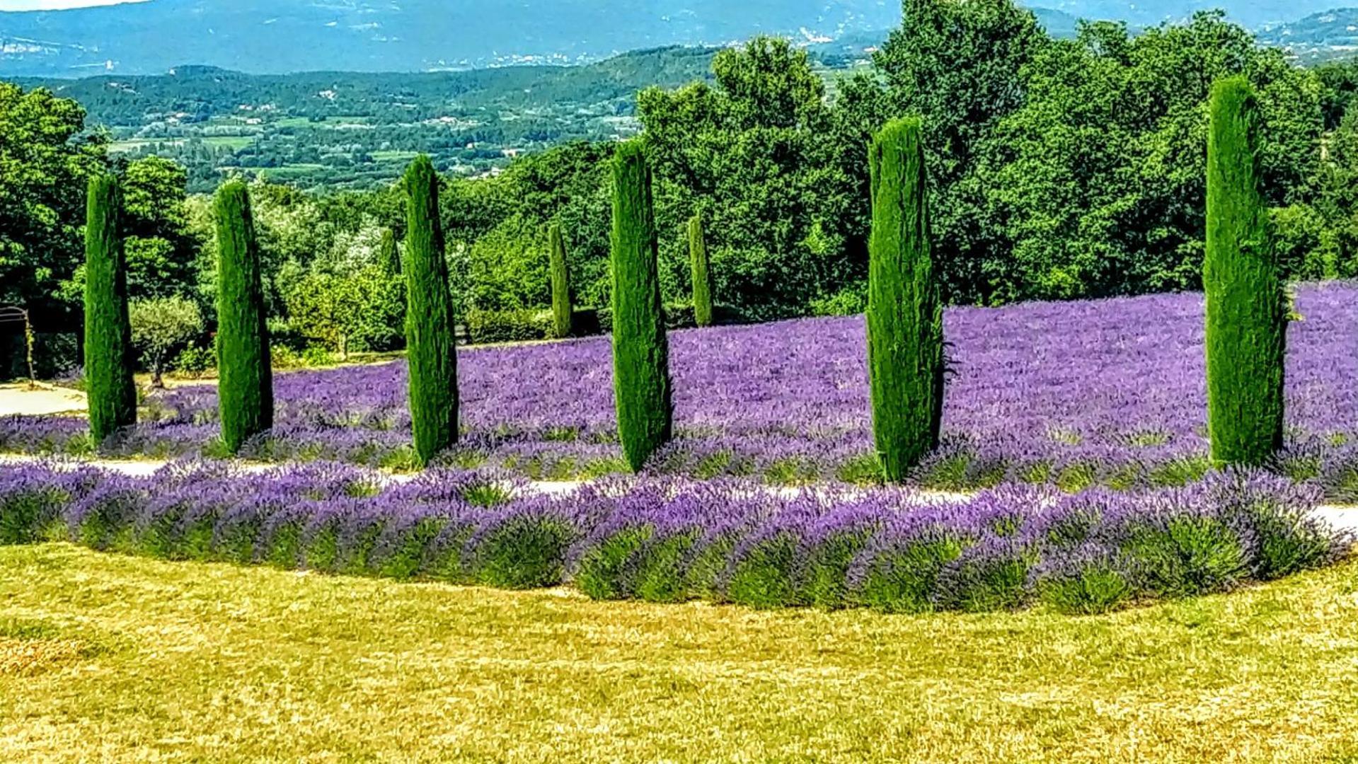 Le Mas De Roussillon Roussillon en Isere Exteriér fotografie