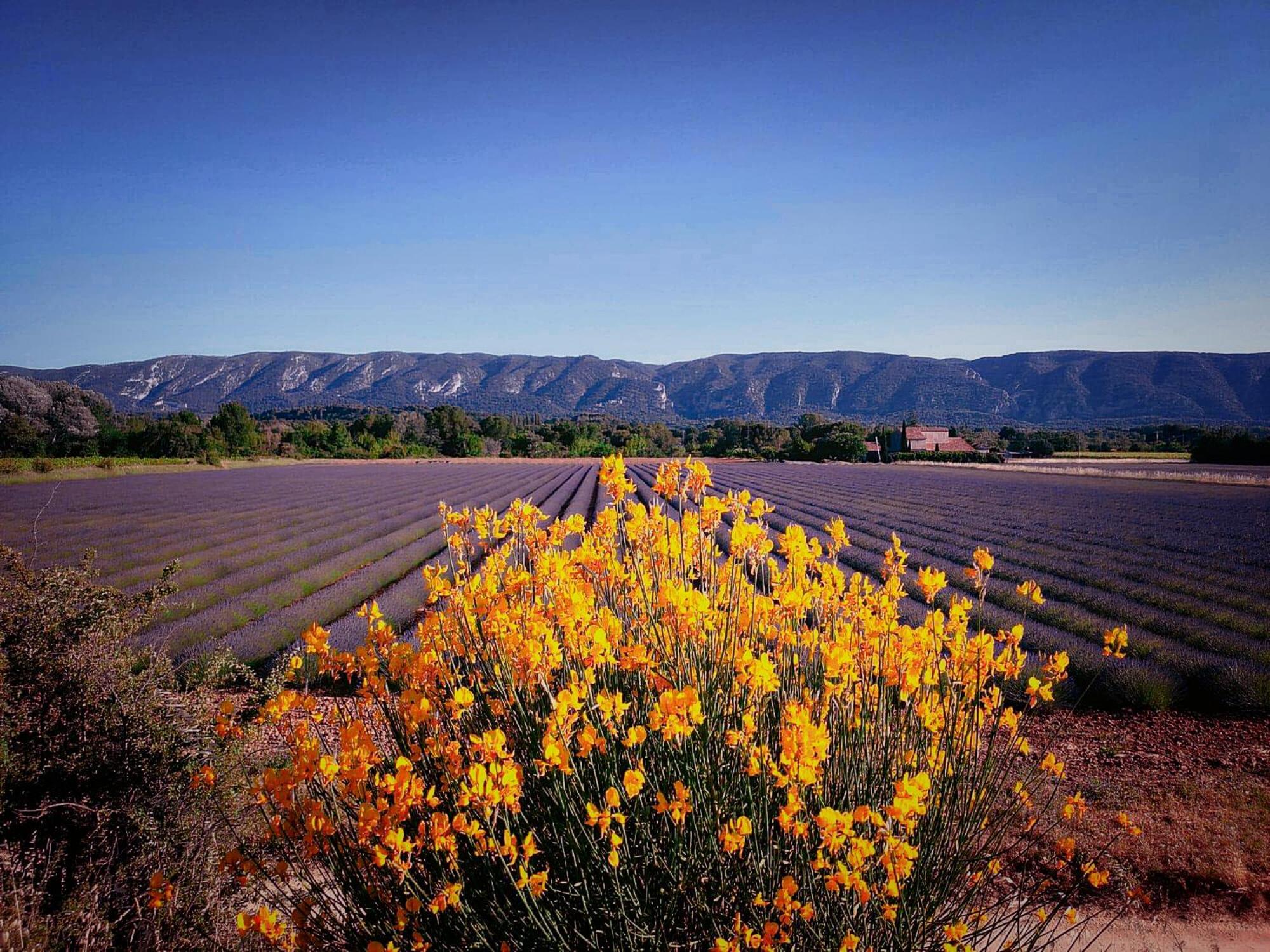 Le Mas De Roussillon Roussillon en Isere Exteriér fotografie